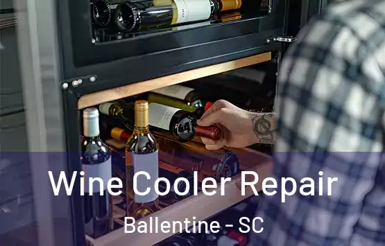  Wine Cooler Repair Ballentine - SC