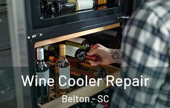  Wine Cooler Repair Belton - SC