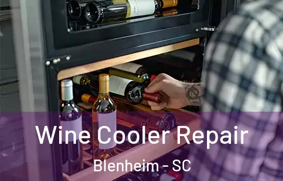  Wine Cooler Repair Blenheim - SC