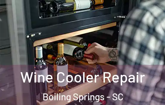  Wine Cooler Repair Boiling Springs - SC