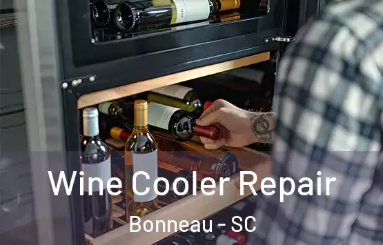  Wine Cooler Repair Bonneau - SC