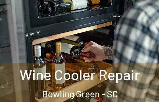  Wine Cooler Repair Bowling Green - SC