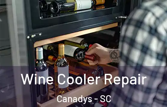  Wine Cooler Repair Canadys - SC