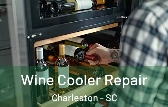  Wine Cooler Repair Charleston - SC