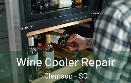  Wine Cooler Repair Clemson - SC