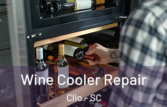  Wine Cooler Repair Clio - SC