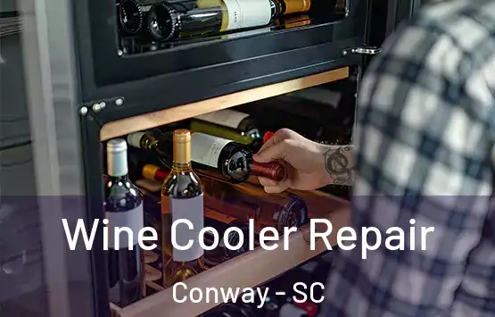  Wine Cooler Repair Conway - SC