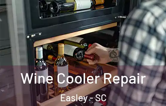  Wine Cooler Repair Easley - SC