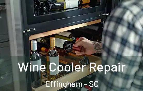 Wine Cooler Repair Effingham - SC