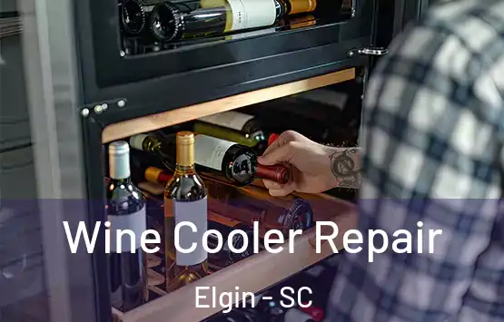  Wine Cooler Repair Elgin - SC