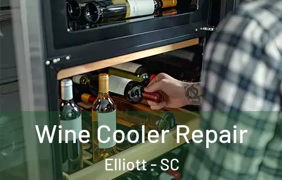  Wine Cooler Repair Elliott - SC