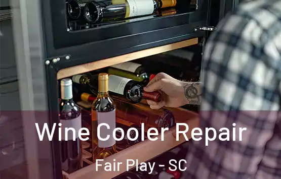  Wine Cooler Repair Fair Play - SC