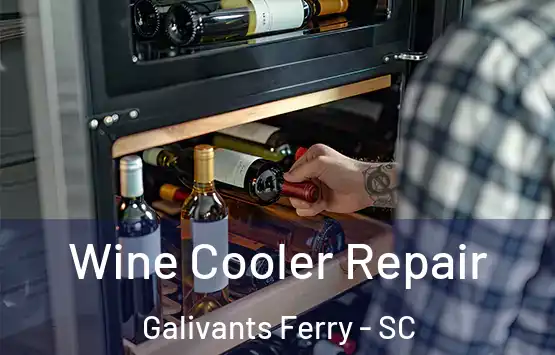  Wine Cooler Repair Galivants Ferry - SC