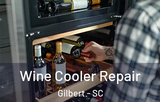  Wine Cooler Repair Gilbert - SC