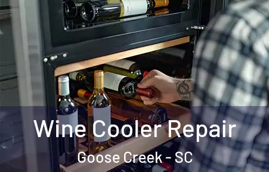  Wine Cooler Repair Goose Creek - SC