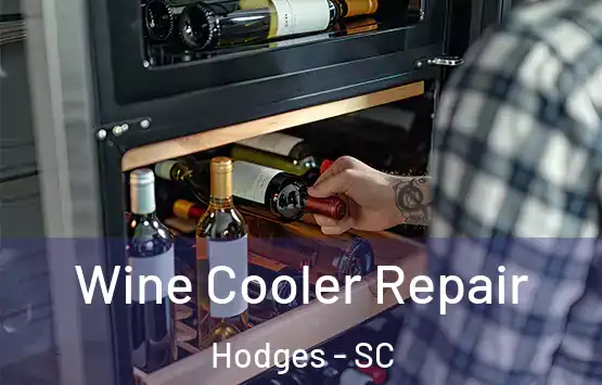  Wine Cooler Repair Hodges - SC
