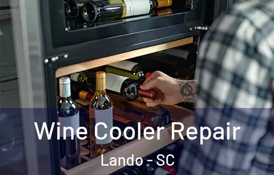  Wine Cooler Repair Lando - SC