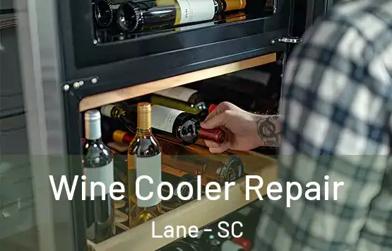  Wine Cooler Repair Lane - SC