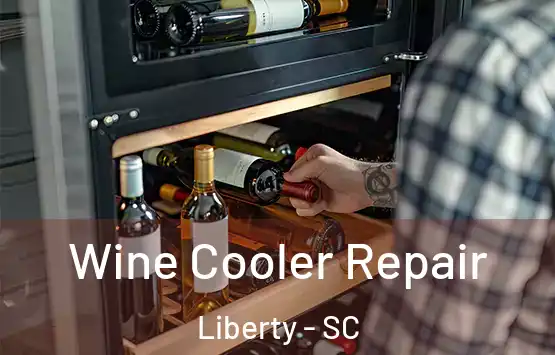  Wine Cooler Repair Liberty - SC