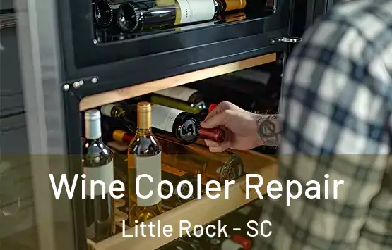  Wine Cooler Repair Little Rock - SC