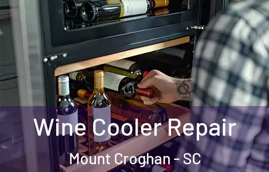  Wine Cooler Repair Mount Croghan - SC