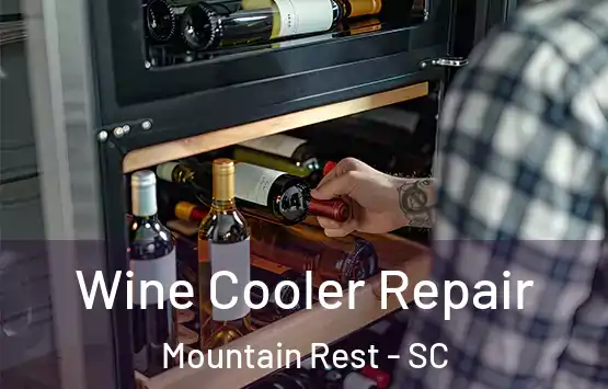  Wine Cooler Repair Mountain Rest - SC