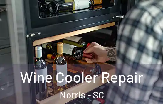 Wine Cooler Repair Norris - SC