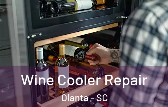  Wine Cooler Repair Olanta - SC