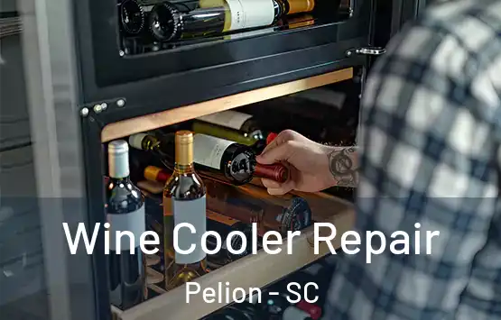  Wine Cooler Repair Pelion - SC