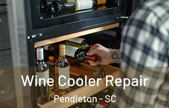  Wine Cooler Repair Pendleton - SC