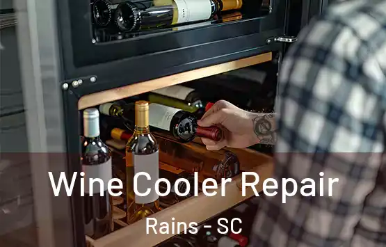  Wine Cooler Repair Rains - SC