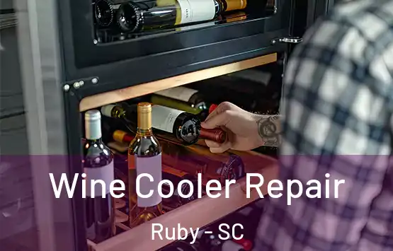  Wine Cooler Repair Ruby - SC