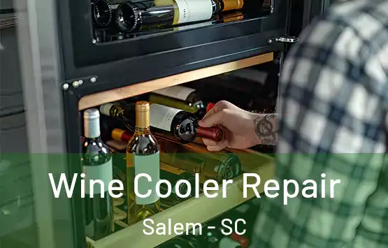  Wine Cooler Repair Salem - SC