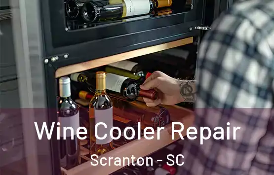  Wine Cooler Repair Scranton - SC