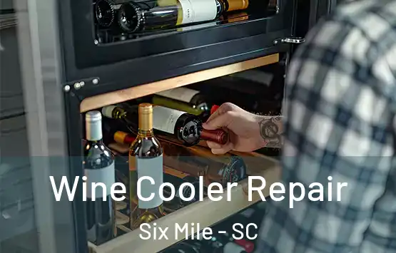  Wine Cooler Repair Six Mile - SC