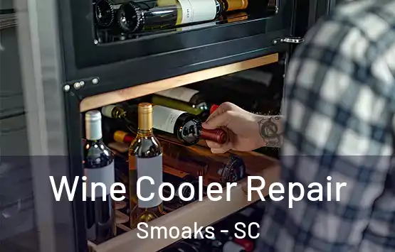  Wine Cooler Repair Smoaks - SC
