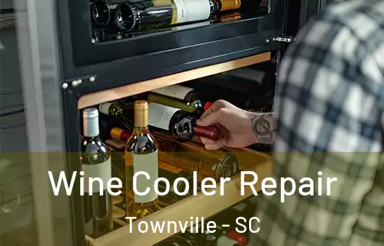  Wine Cooler Repair Townville - SC