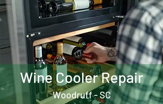  Wine Cooler Repair Woodruff - SC